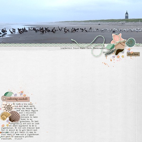 collecting-seashells