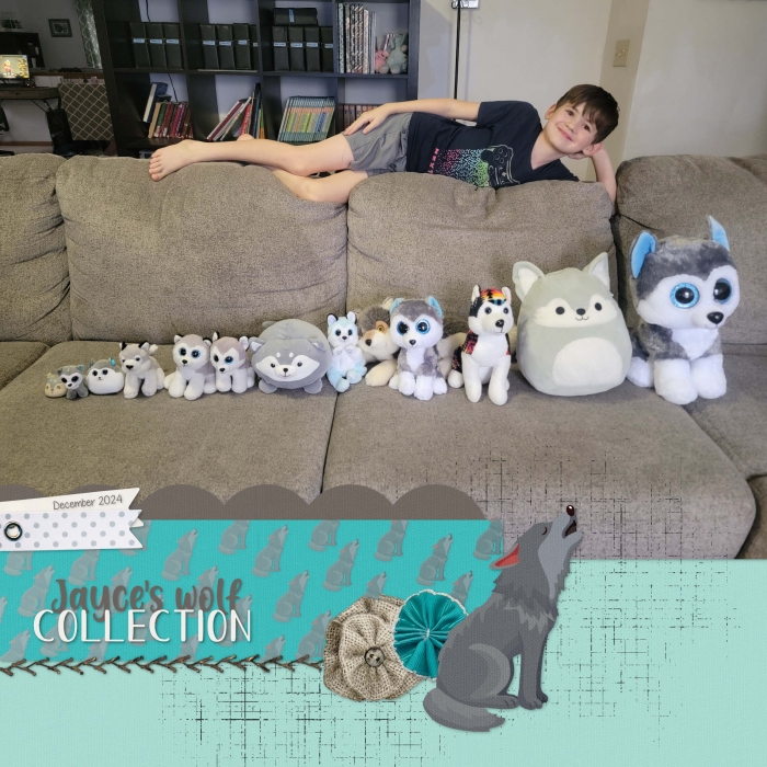 Collection