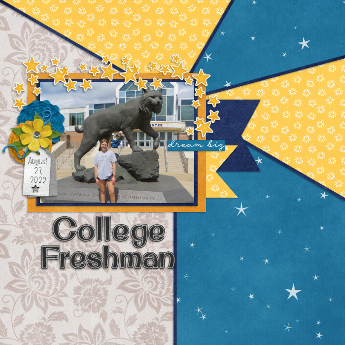 College Freshman