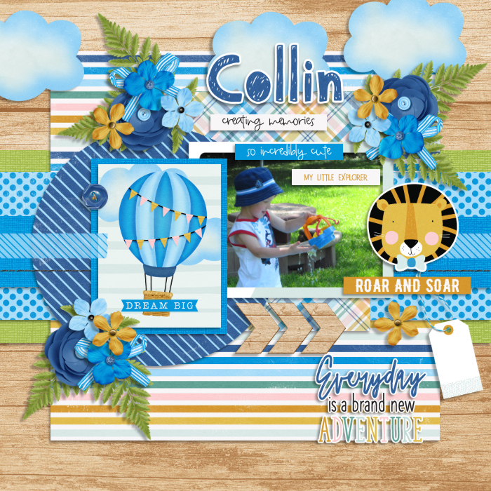 Collin