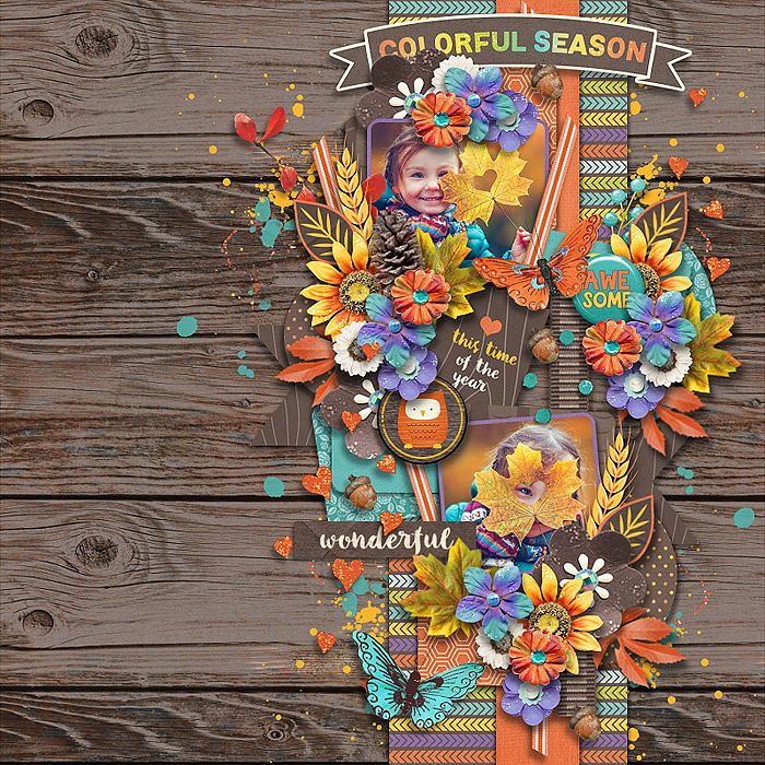 Colorfall Season