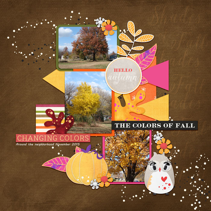 Colors of Fall B20