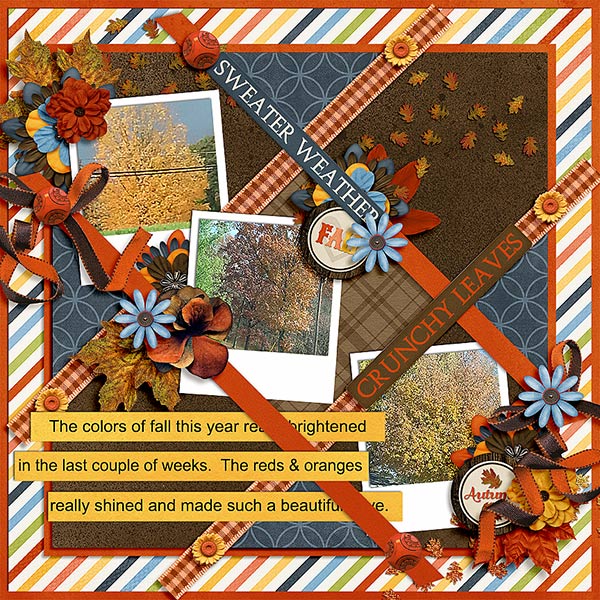 Colors of Fall