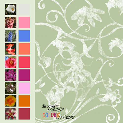 Colors of Nature