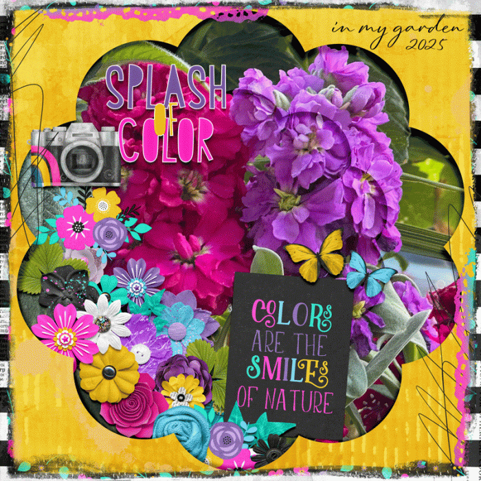 Colour!