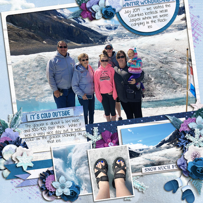 Columbia Icefields