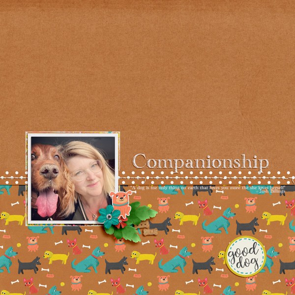 Companionship