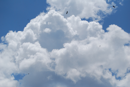 Concan Sky
