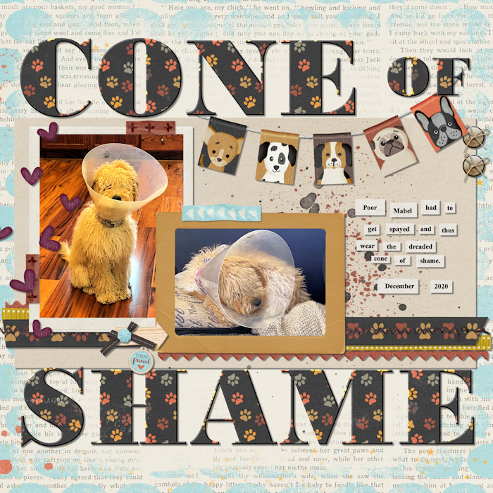 Cone of Shame