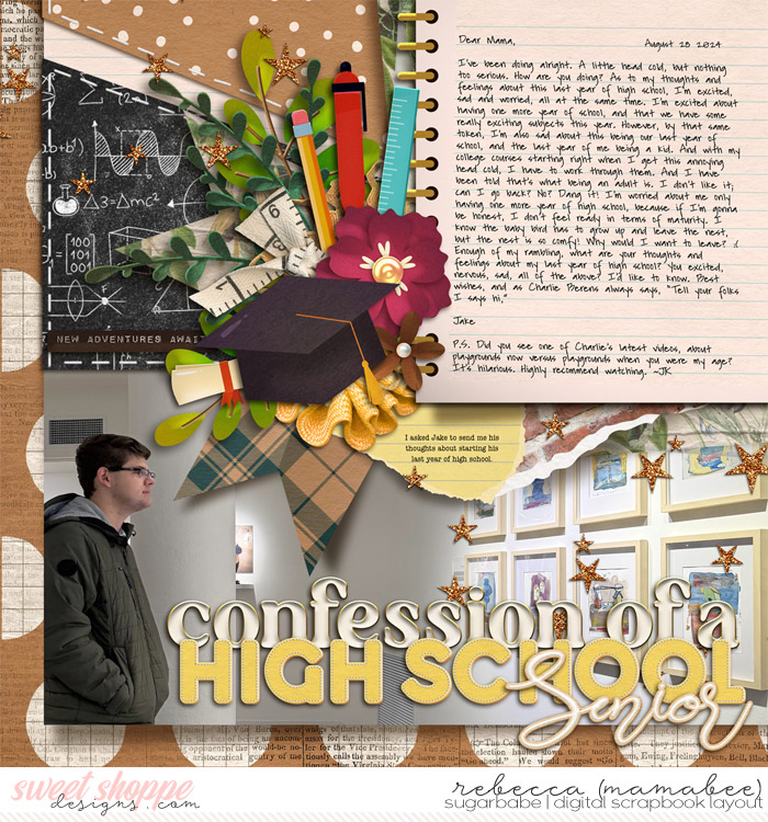 confession of a high school senior