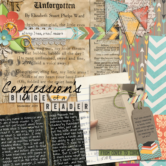 confessions of a binge reader