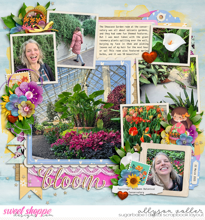 Conservatory 1