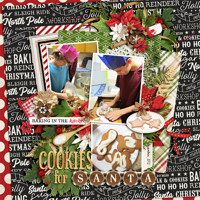 Cookies for Santa