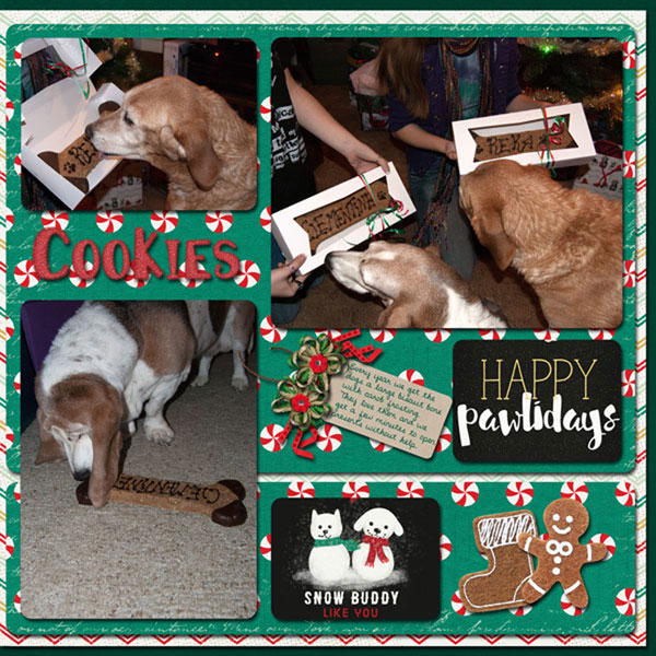 Cookies for the dogs