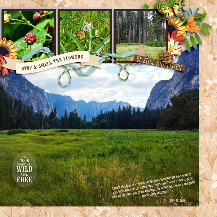 Cook's Meadow Yosemite 24