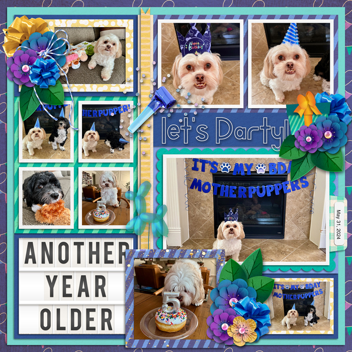 Cooper turns 5