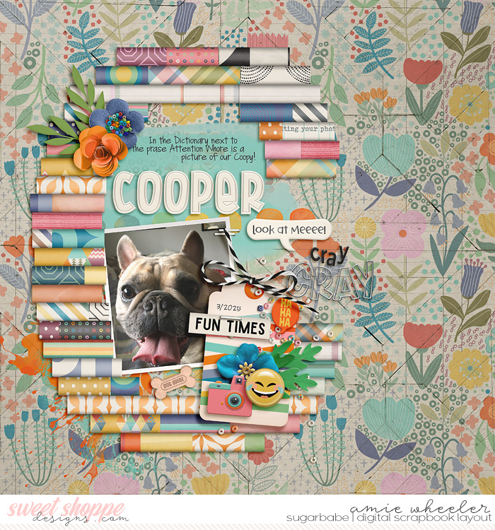 Cooper