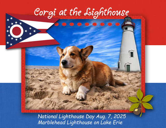 Corgi at the Lighthouse