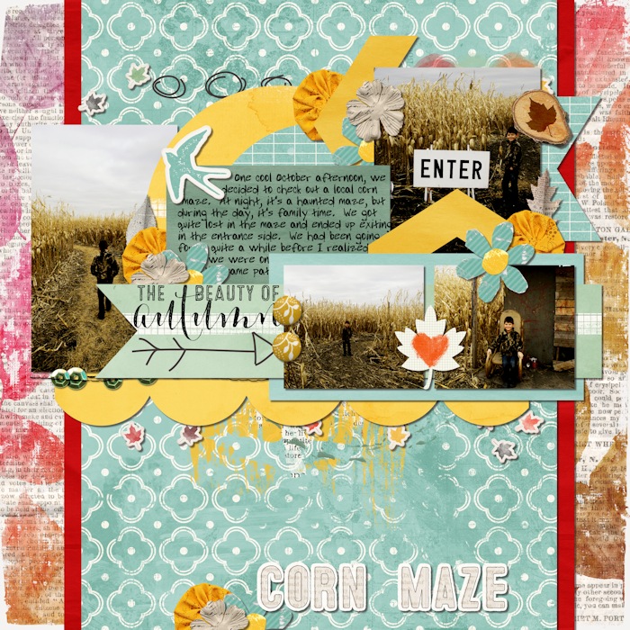 Corn Maze