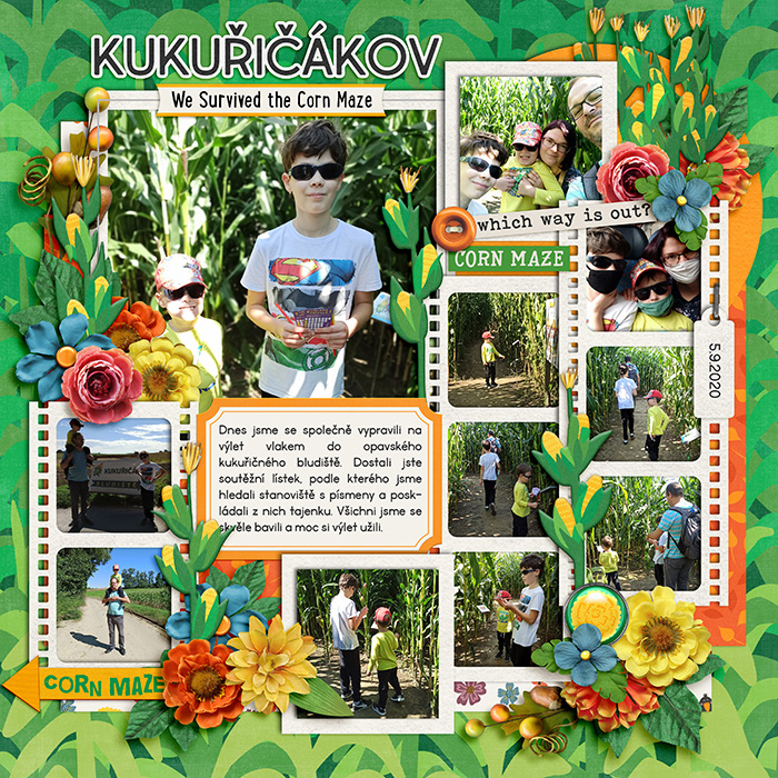 Corn maze
