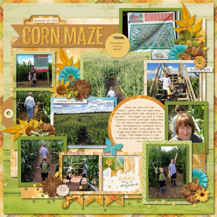 Corn maze