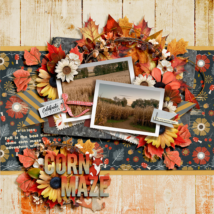 Corn maze