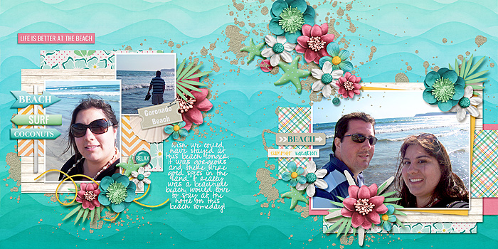 Coronado Beach