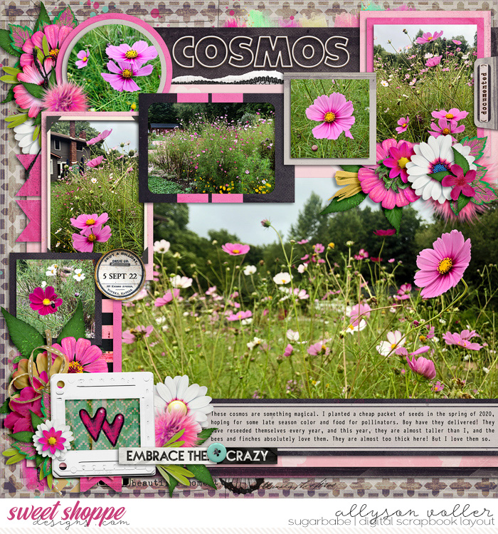 Cosmos