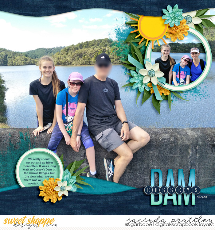 Cosseys Dam