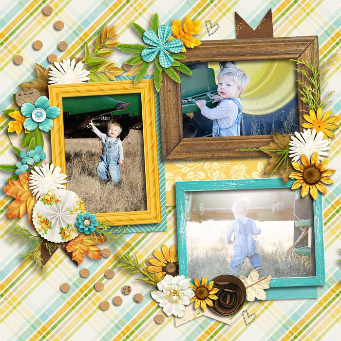 Country Boy