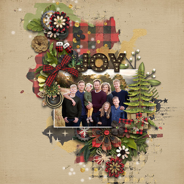 Country Christmas