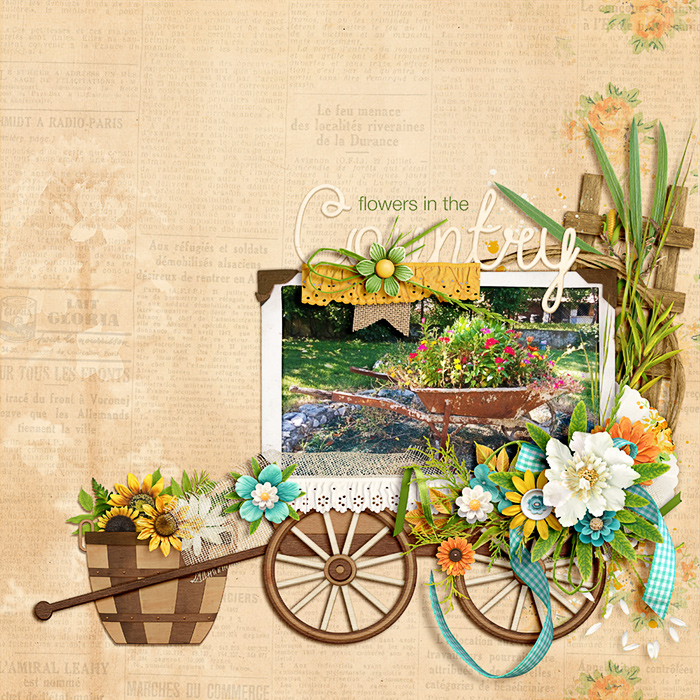 Country flowers