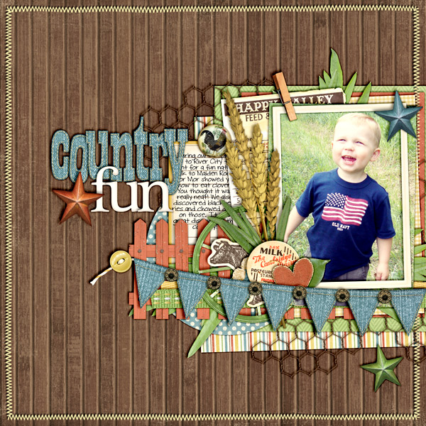 Country Fun