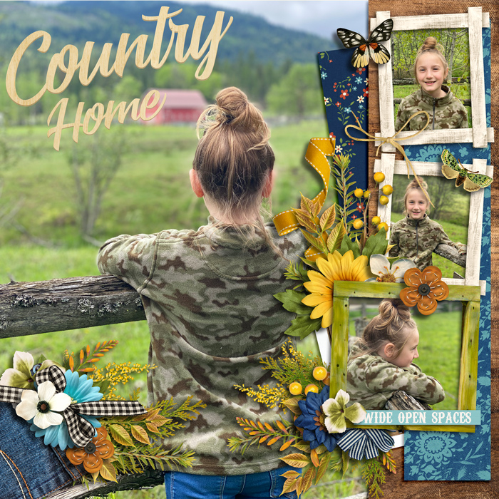Country Home
