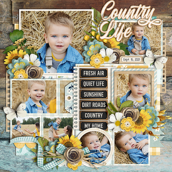 Country Life