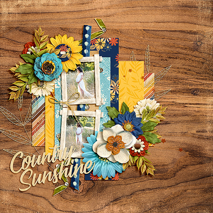 Country Sunshine