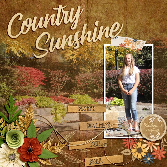 Country Sunshine