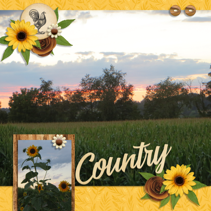 Country