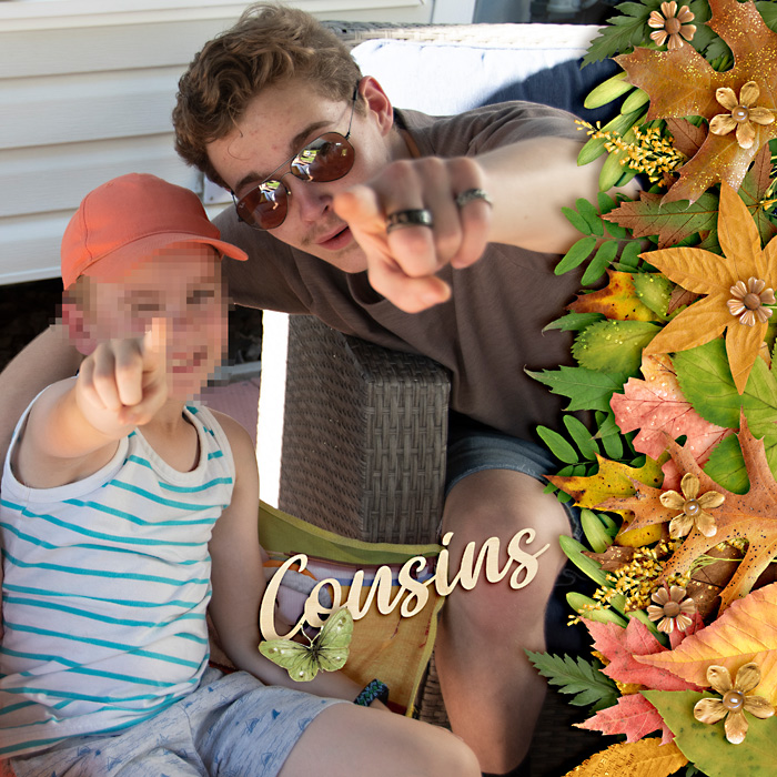 Cousins