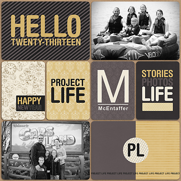 Cover Page Project Life 2013
