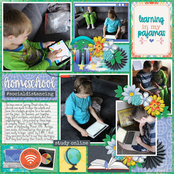 Covid Homeschool 2020