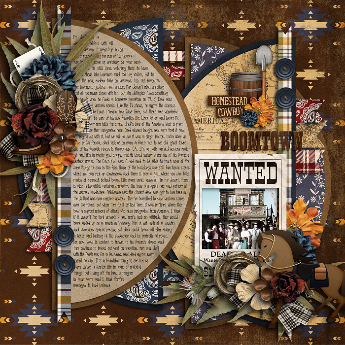 Cowboys & Westerns