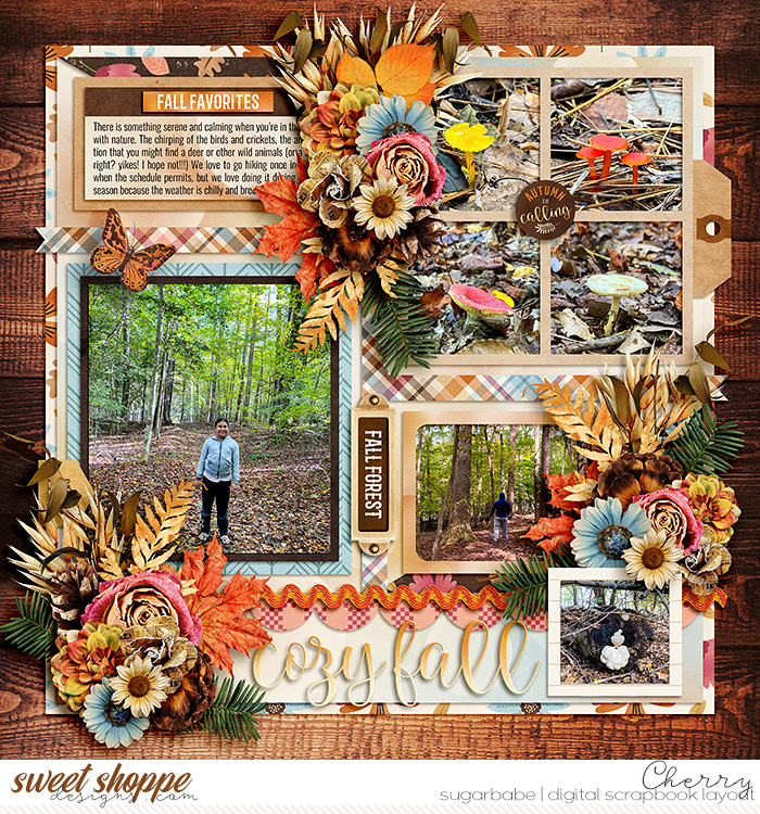 Cozy Fall