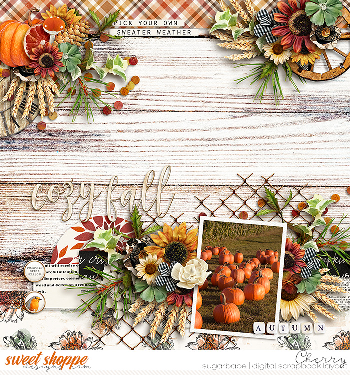 Cozy Fall
