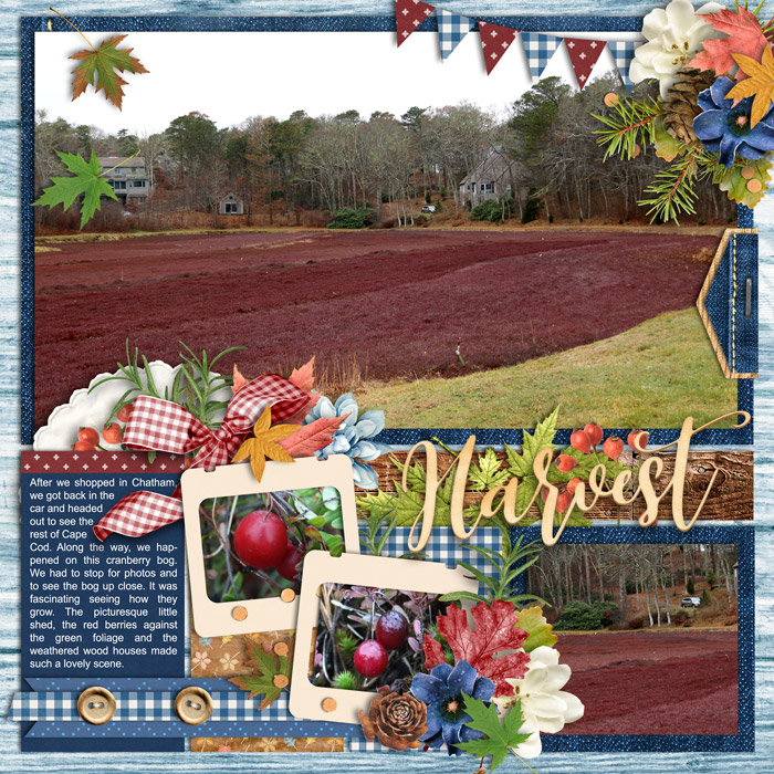 Cranberry Bog Right