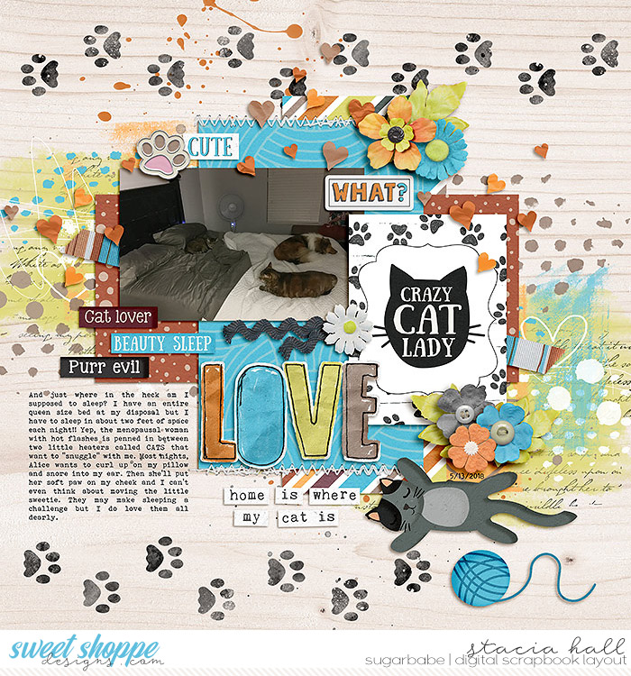 Crazy Cat Lady