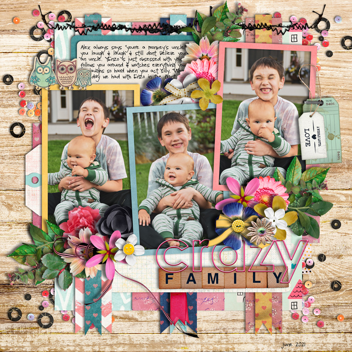 crazy family