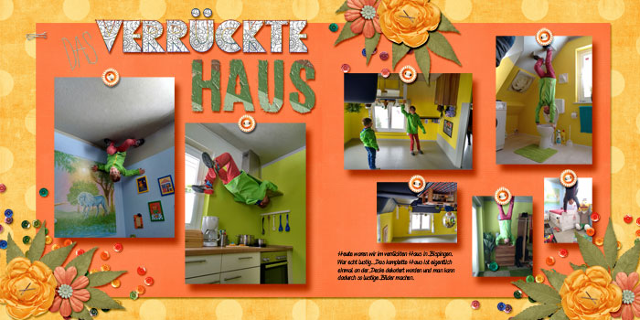 crazy house