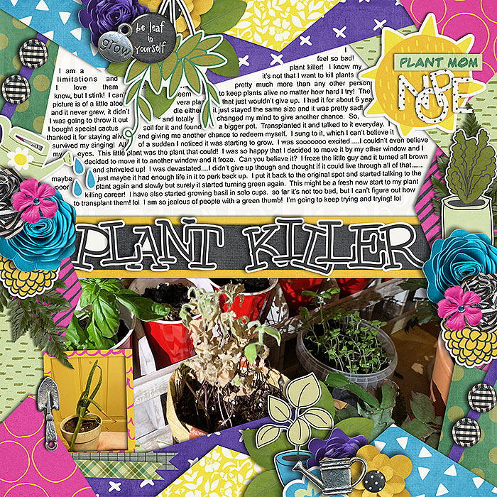 Crazy Plant Lady