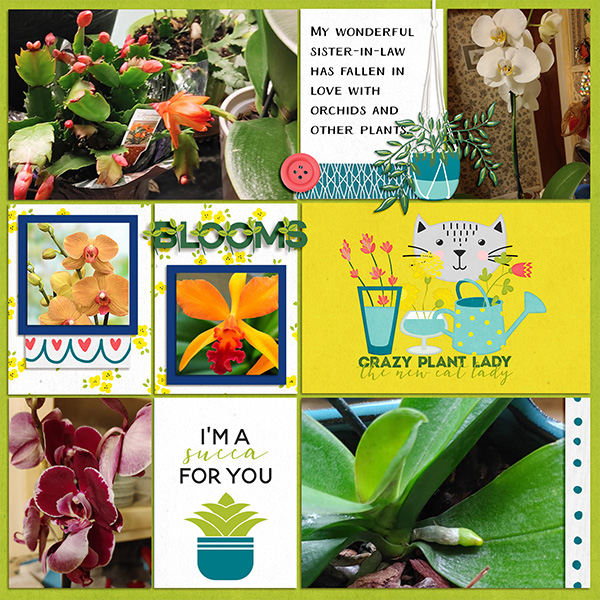 Crazy Plant Lady